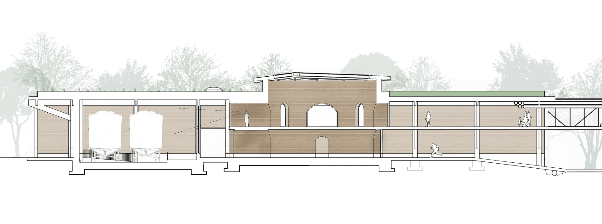 Das Elixier des Hirschen